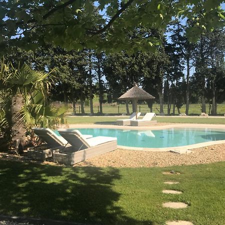 Mas Des Limites Bed & Breakfast Rognonas Exterior photo